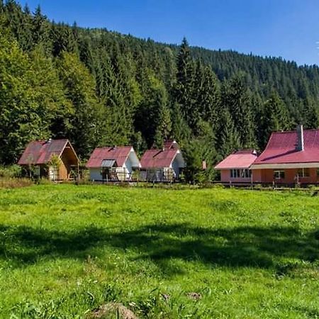 Cabana Valea Stanciului Rachitele Εξωτερικό φωτογραφία