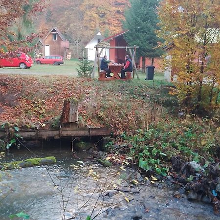 Cabana Valea Stanciului Rachitele Εξωτερικό φωτογραφία