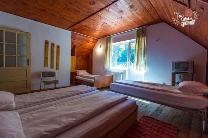 Cabana Valea Stanciului Rachitele Εξωτερικό φωτογραφία