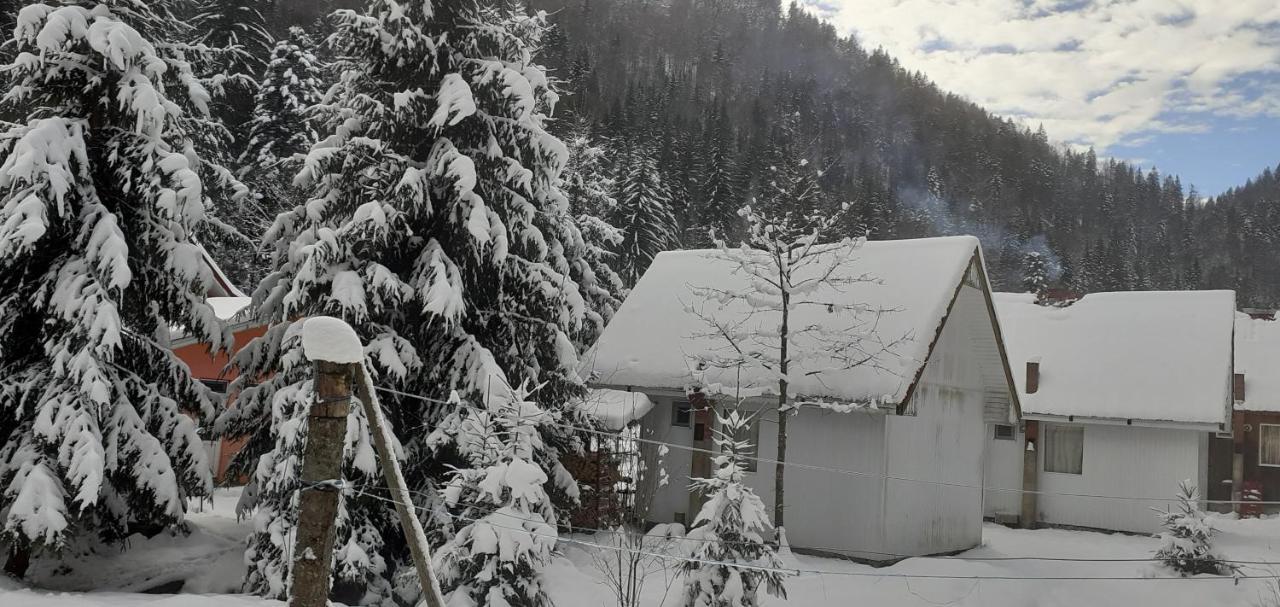Cabana Valea Stanciului Rachitele Εξωτερικό φωτογραφία