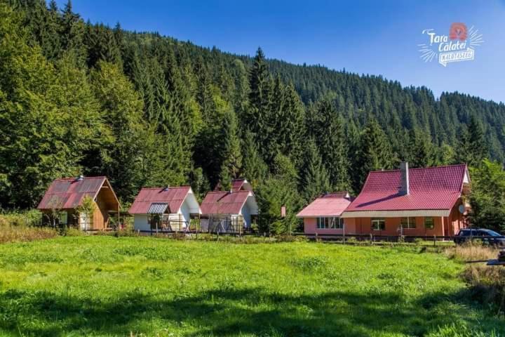 Cabana Valea Stanciului Rachitele Εξωτερικό φωτογραφία