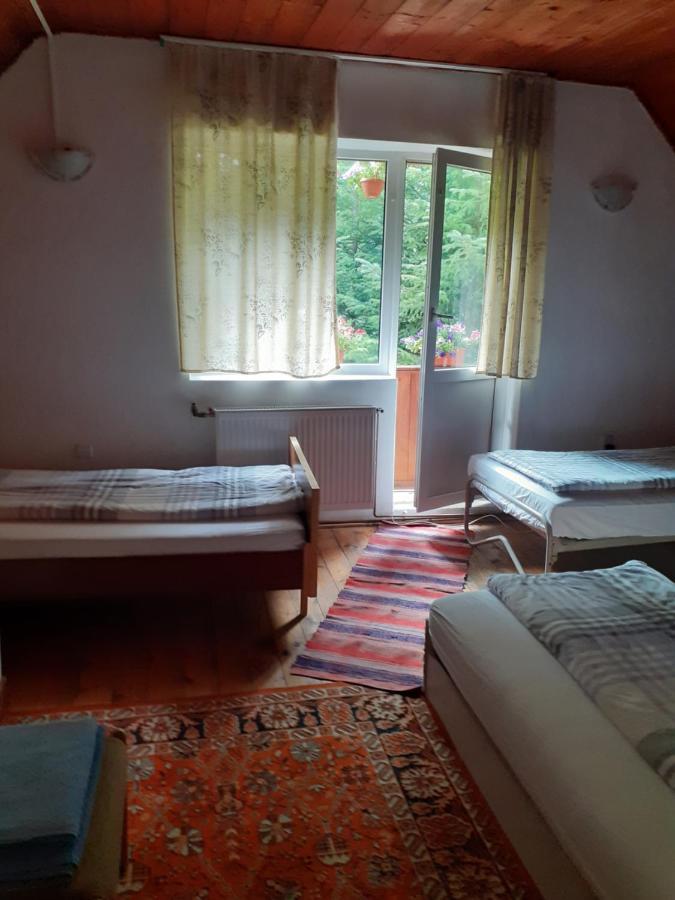 Cabana Valea Stanciului Rachitele Εξωτερικό φωτογραφία