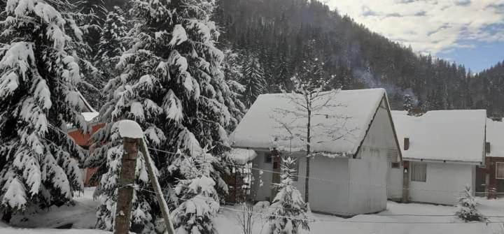 Cabana Valea Stanciului Rachitele Εξωτερικό φωτογραφία