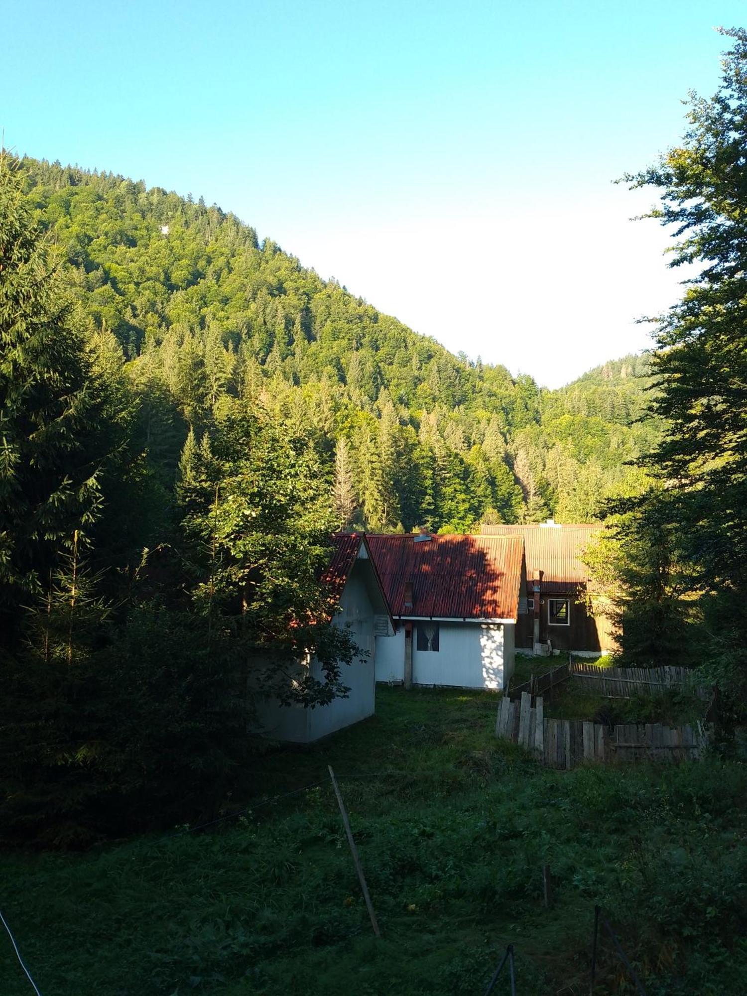 Cabana Valea Stanciului Rachitele Εξωτερικό φωτογραφία